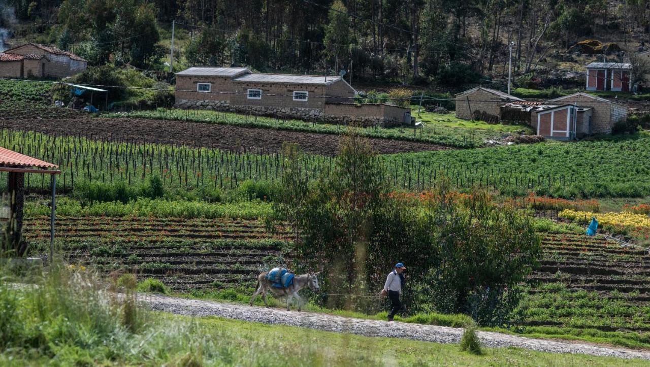 Tullpa Rumy Yungay Bagian luar foto